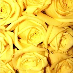 Meet your Posher, Keren